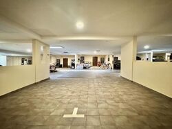 Holland Link (D10), Terrace #546995791